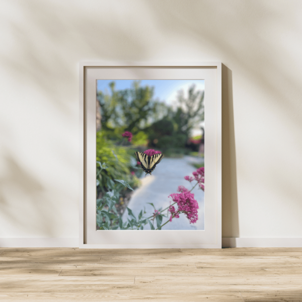 Butterfly Photography Print