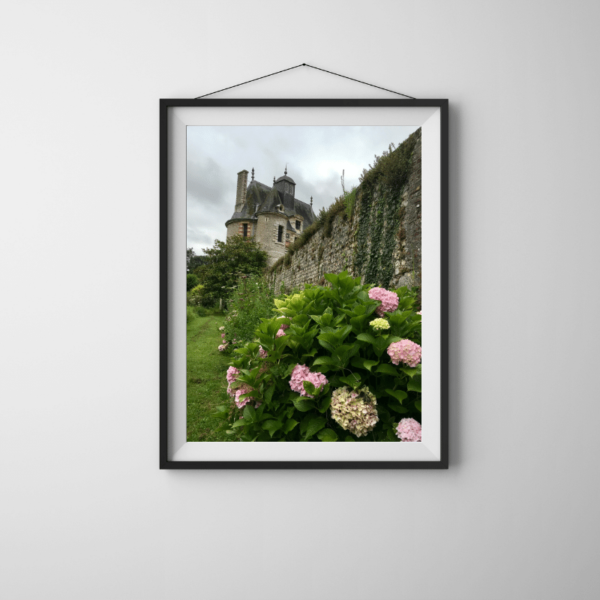 Chateau Du Bec Flower Photography Print Digital Download